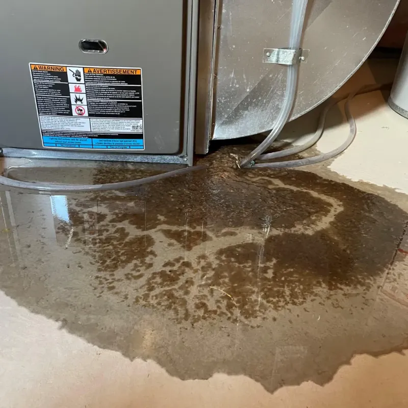Appliance Leak Cleanup in Waimanalo Beach, HI